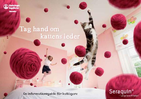 Tag hand om kattens leder