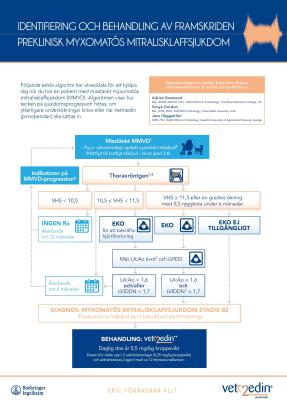 MMVD - Identifiering och behandling
