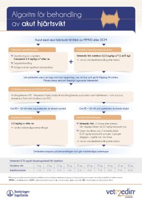 Algoritm för behandling av akut hjärtsvikt