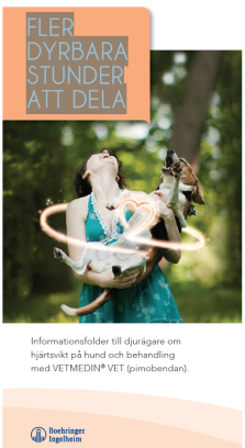 Fler dyrbara stunder att dela