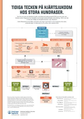 Tidiga tecken på hjärtsjukdom